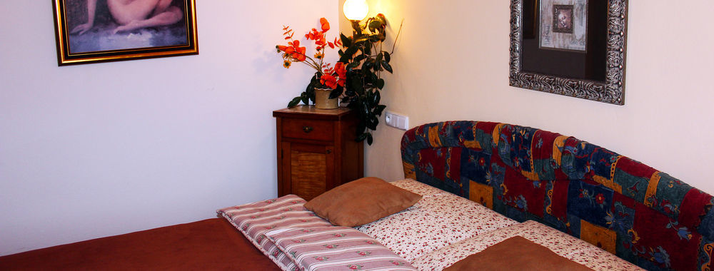 Wellness Pension Ametyst Cesky Krumlov Exterior foto